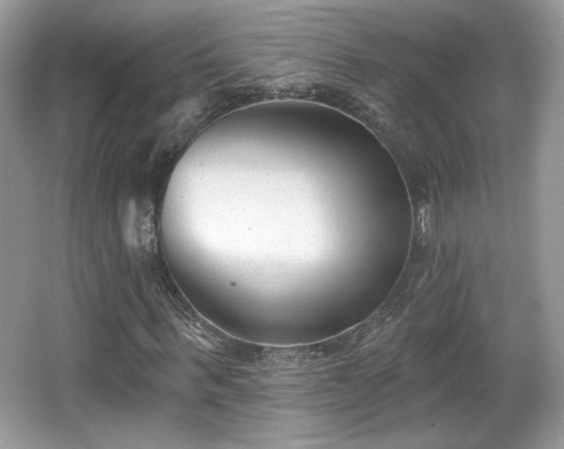 X0000066990963200603271310