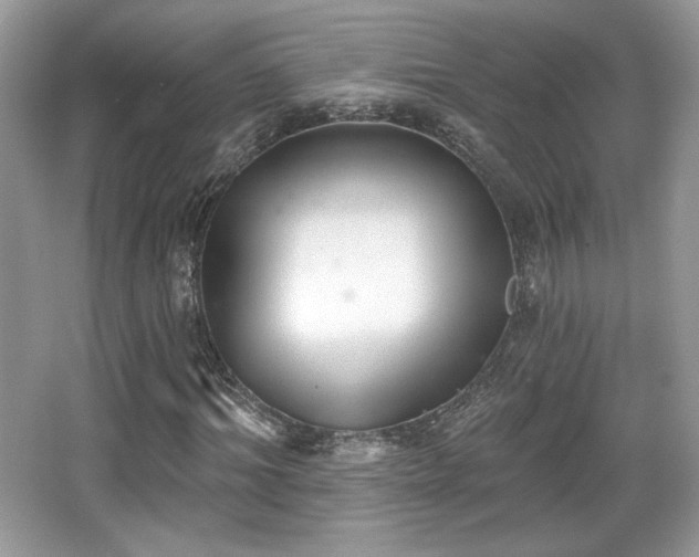 X0000066990964200603271310