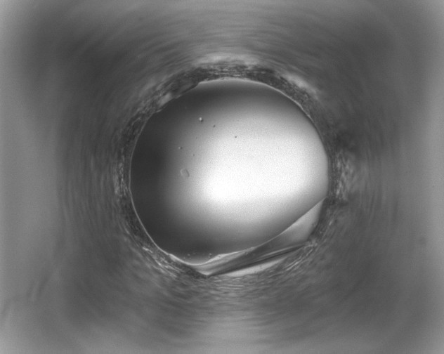 X0000066990965200603271310