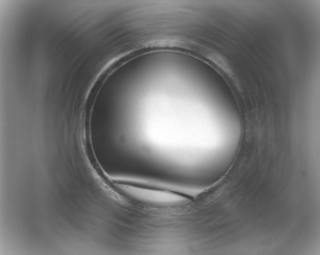 X0000066990984200603271310