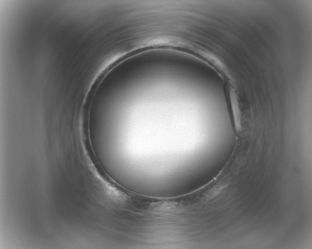 X0000066990991200603271309