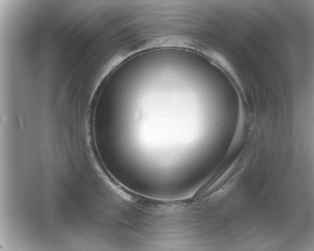 X0000066990997200603271309