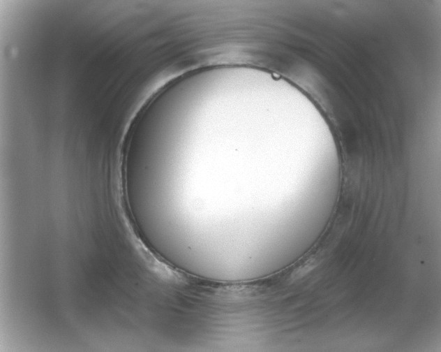 X0000066991000200603271309