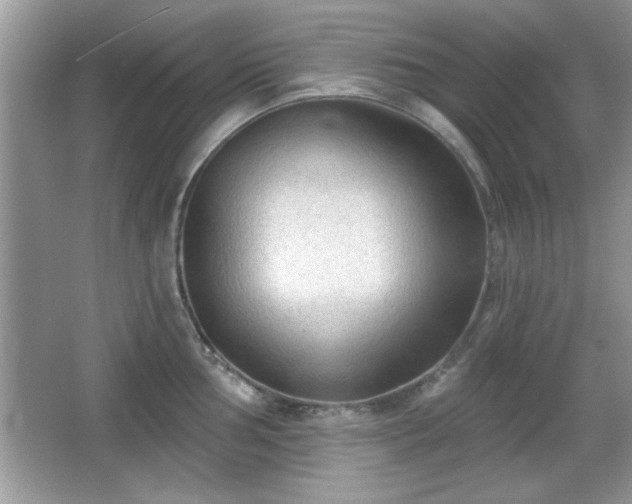 X0000066991002200603271309