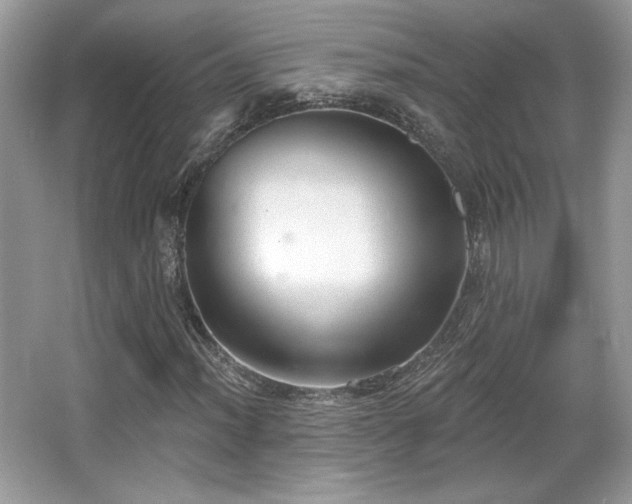 X0000066991012200603271308