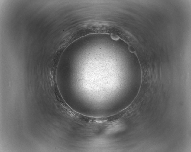 X0000066991013200603271308