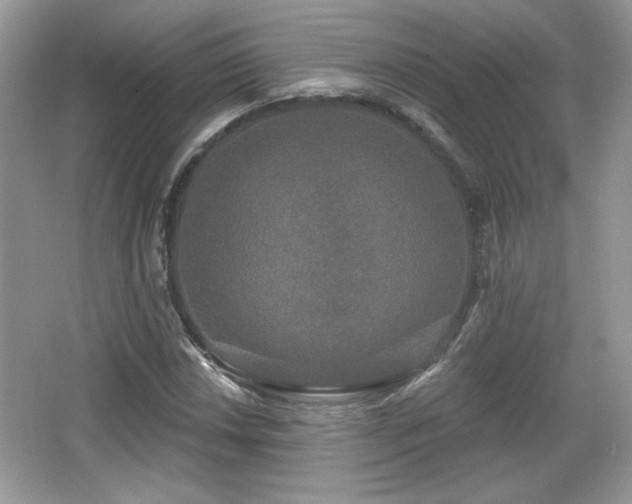 X0000066991018200603271309