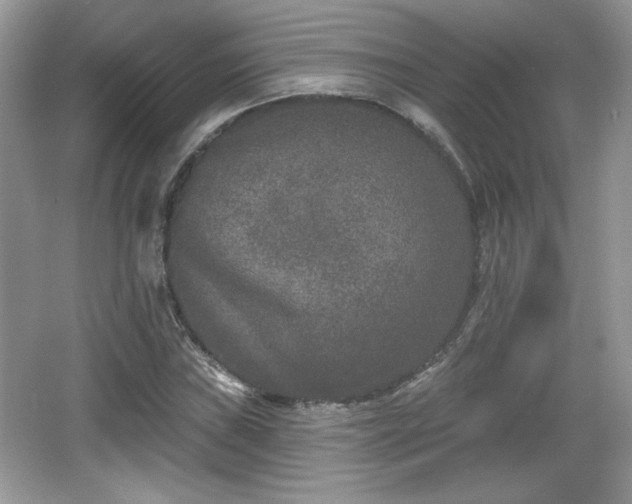 X0000066991019200603271309