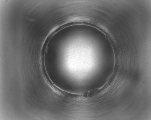X0000066991029200603271309