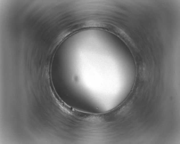 X0000066991033200603271309