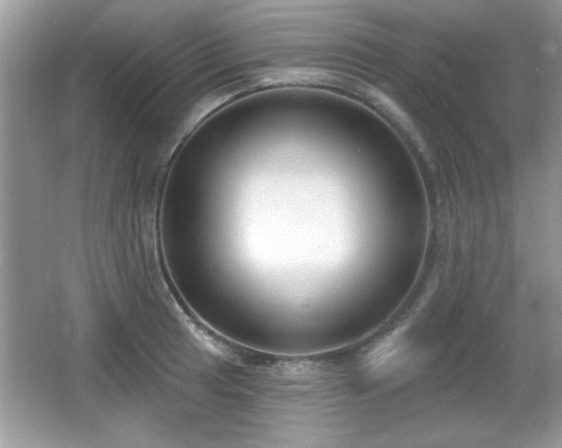X0000066991041200603271309
