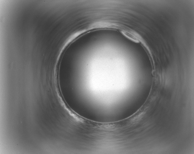 X0000066991053200603271309