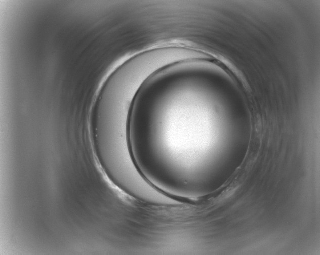 X0000066991054200603271309