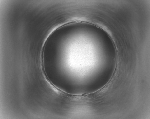 X0000066991056200603271309