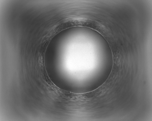 X0000066991061200603271308