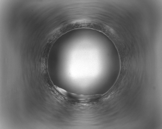 X0000066991062200603271308