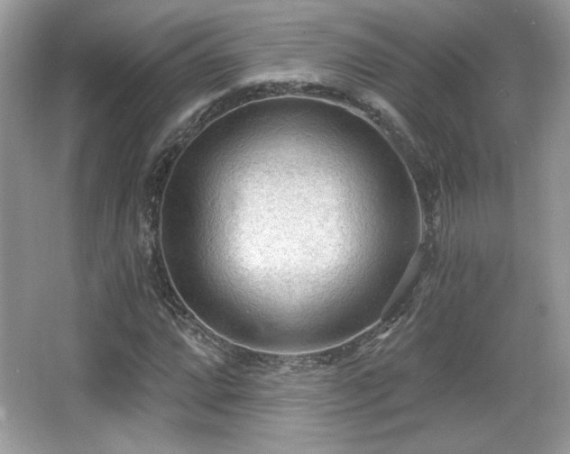 X0000066991064200603271308