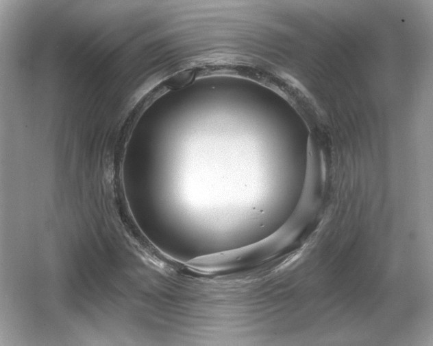 X0000066991065200603271308