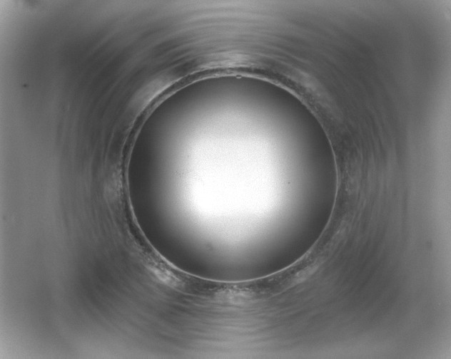 X0000066991073200603271308
