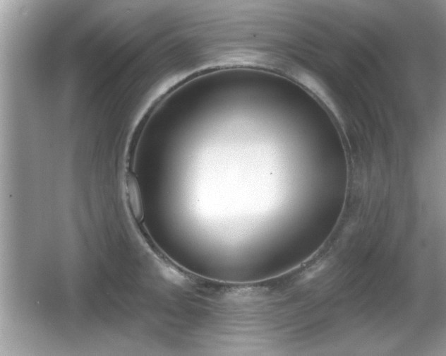 X0000066991093200603271308