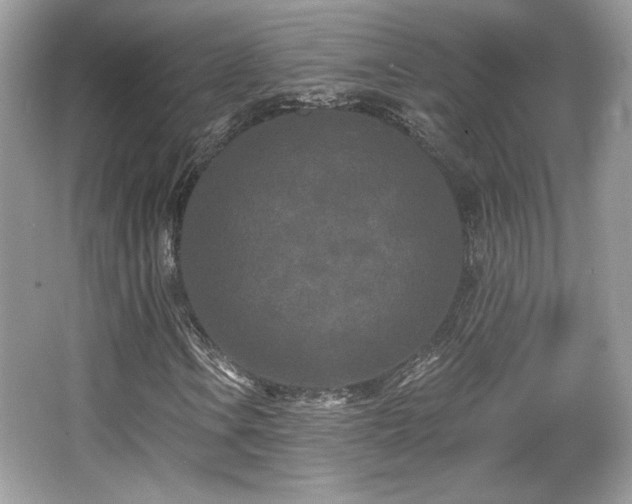 X0000066991106200603271307