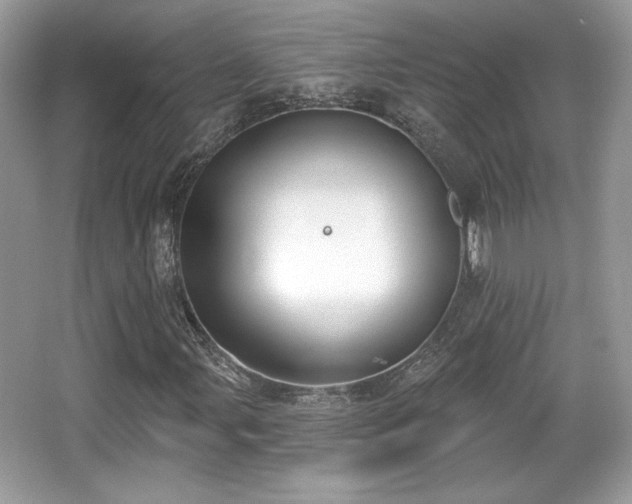 X0000066991107200603271307