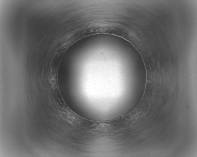 X0000066991109200603271307