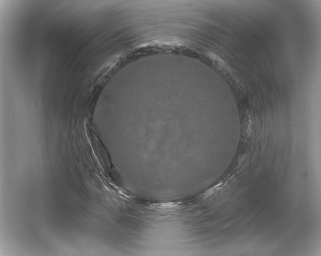 X0000066991110200603271307