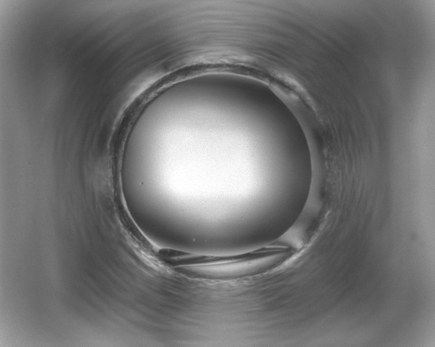X0000066991114200603271307