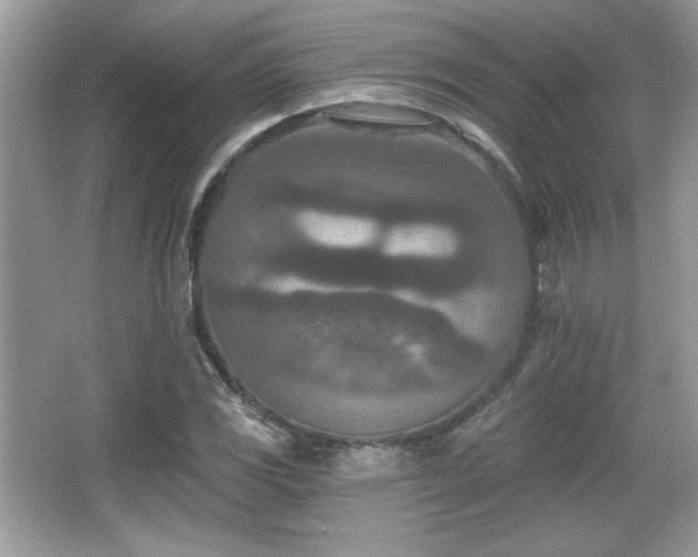 X0000066991117200603271307