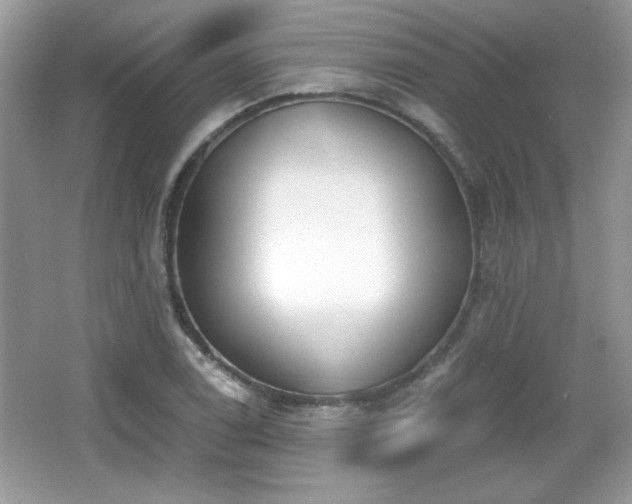 X0000066991122200603271307