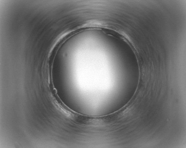 X0000066991123200603271307