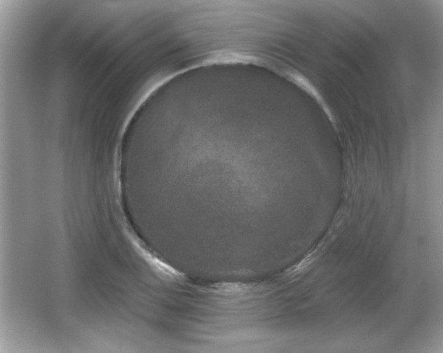 X0000066991124200603271307