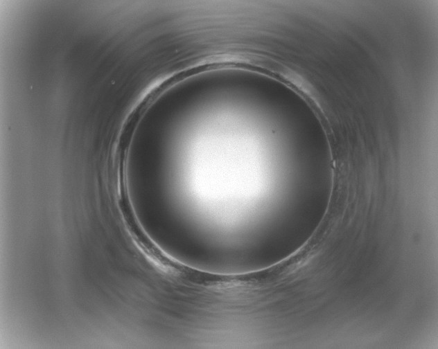 X0000066991127200603271307
