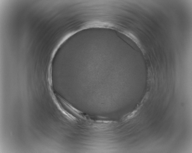 X0000066991128200603271307