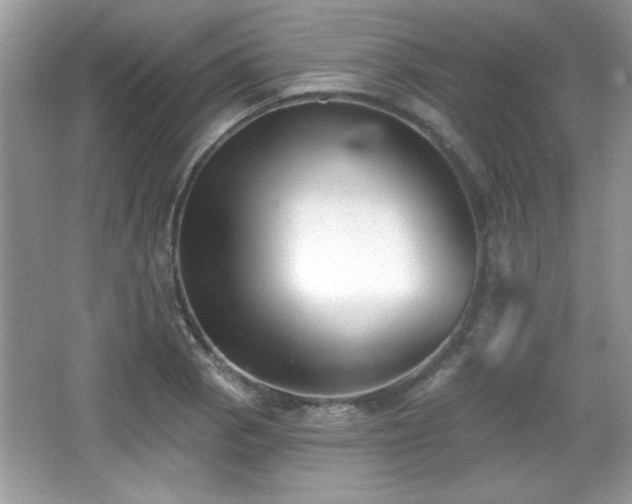 X0000066991129200603271307