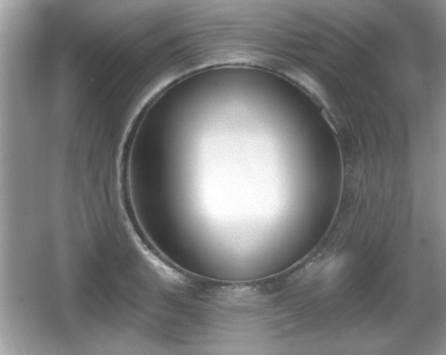 X0000066991135200603271307