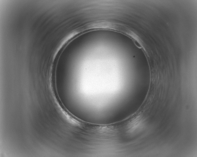 X0000066991139200603271307