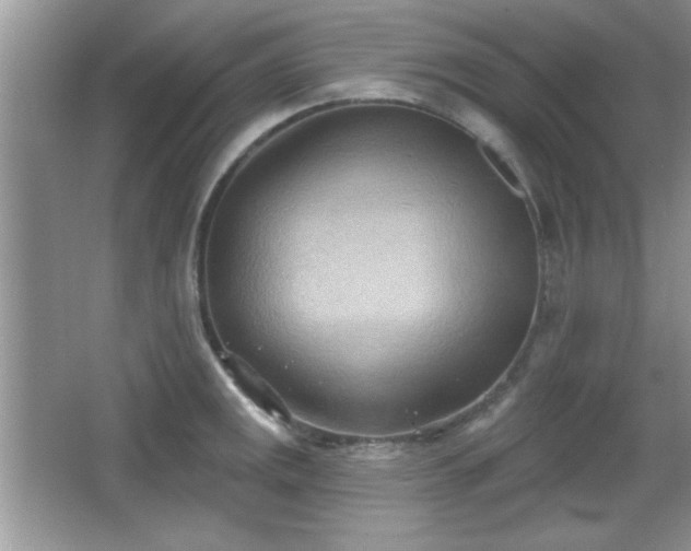 X0000066991141200603271307