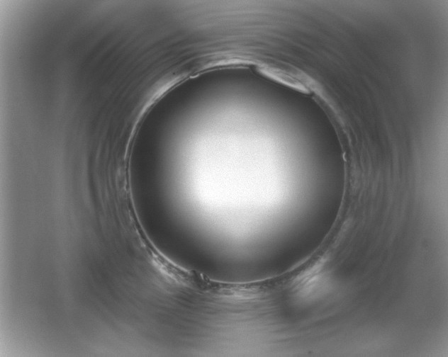 X0000066991145200603271307