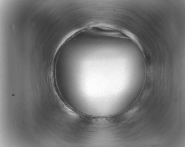 X0000066991149200603271308