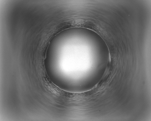 X0000066991153200603271307
