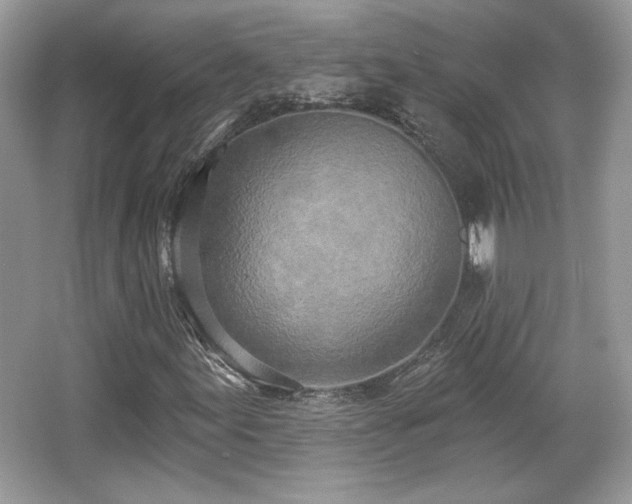 X0000066991155200603271307