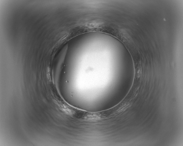 X0000066991156200603271307