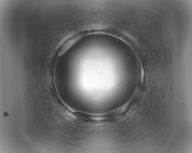 X0000066991160200603271307