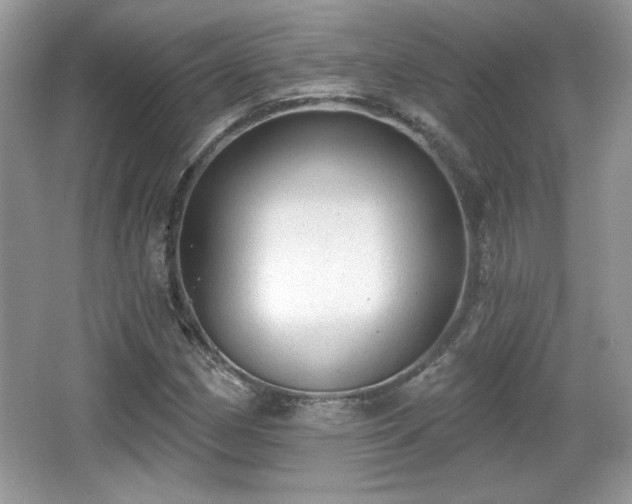 X0000066991162200603271307