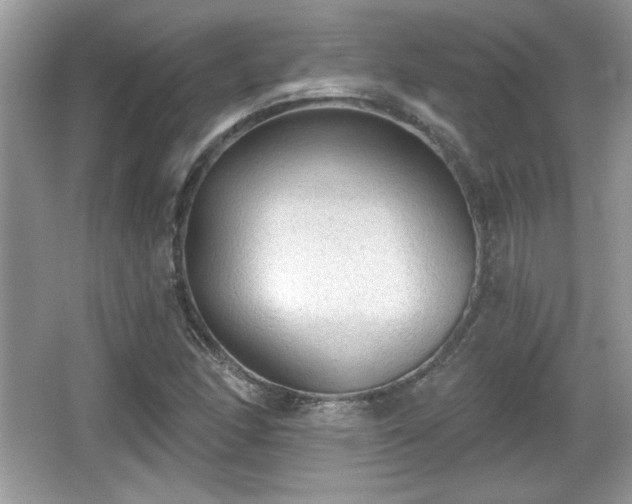 X0000066991166200603271307