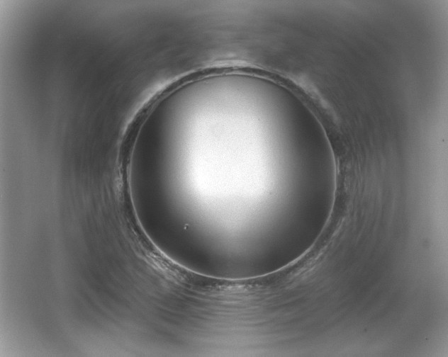 X0000066991167200603271307