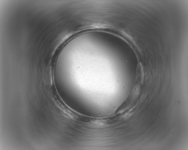 X0000066991171200603271306