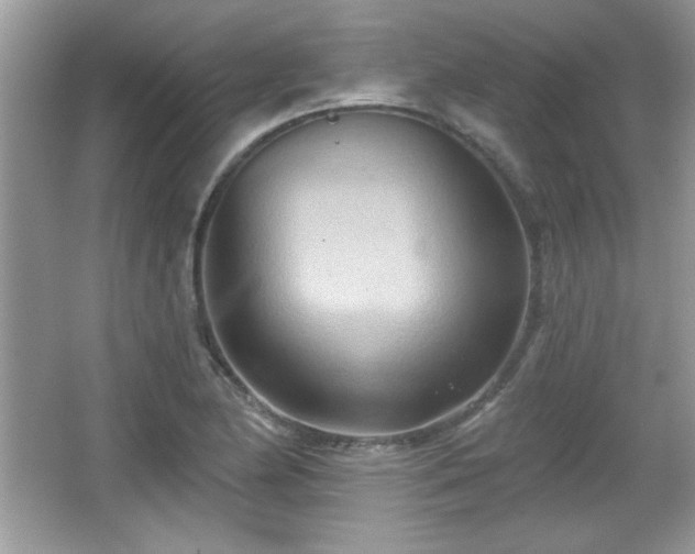 X0000066991174200603271306